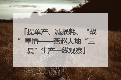 提单产、减损耗、“战”旱情——燕赵大地“三夏”生产一线观察